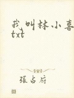 我叫林小喜小说txt