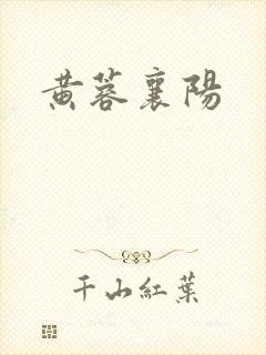 黄蓉襄阳