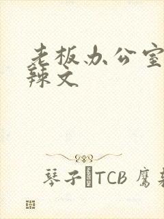 老板办公室系列辣文