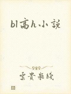 bl高h小说封面