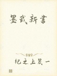 墨武新书