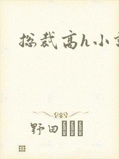 总裁高h小说