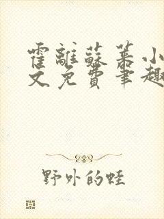 霍离苏莱小说全文免费笔趣阁