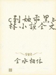 c到她乖黑暗森林小说全文阅读封面