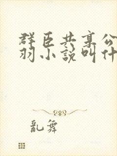 群臣共享公主银羽小说叫什么