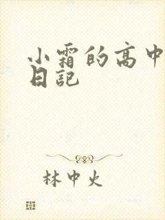 小霜的高中成长日记封面