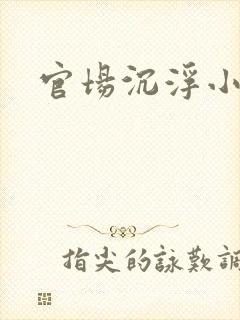 官场沉浮小说
