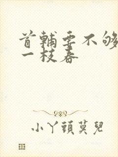 首辅要不够po一枝春