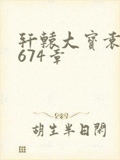 轩辕大宝袁雪妃674章