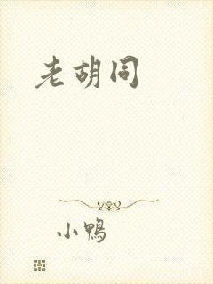 老胡同