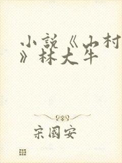 小说《山村情事》林大牛