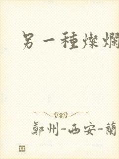 另一种灿烂生活