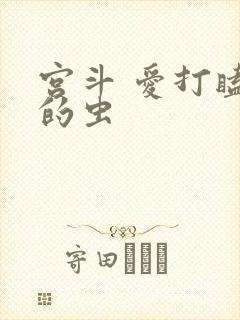宫斗 爱打瞌睡的虫封面