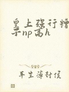 皇上强行糟蹋太子np高h