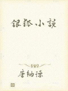 银狐小说