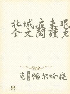 北城夜未眠小说全文阅读免费