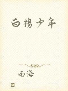 白杨少年