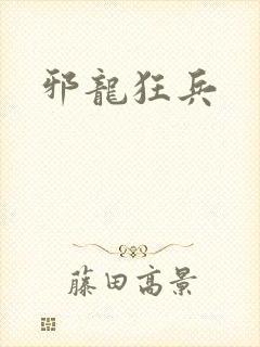 邪龙狂兵