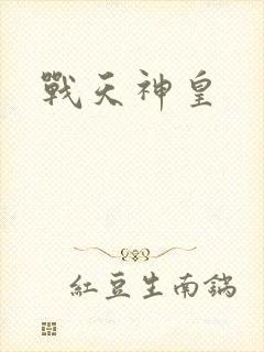 战天神皇封面
