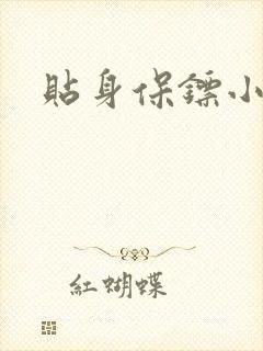 贴身保镖小说