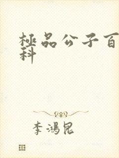 极品公子百度百科