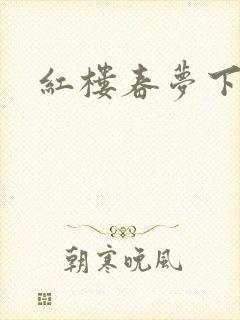 红楼春梦下载