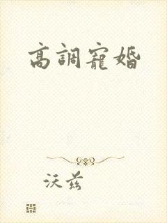 高调宠婚