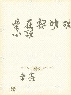 爱在黎明破晓前小说封面