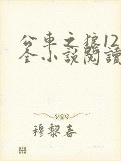 公车之狼12集全小说阅读