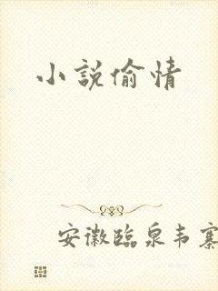 小说偷情