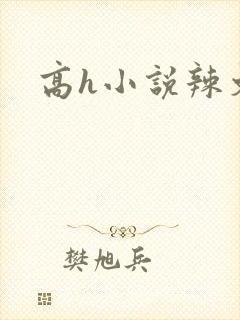 高h小说辣文