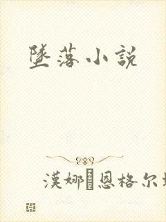 坠落小说封面