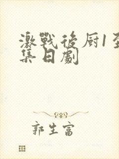 激战后厨1至5集日剧