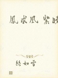 凤求凰 紫晓封面