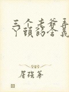 三个老爷弄一个丫头的含义封面