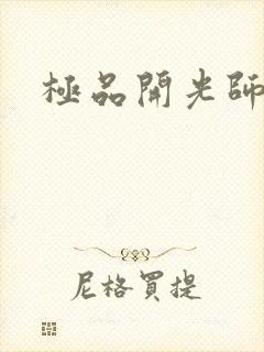 极品开光师
