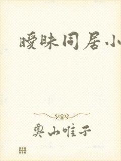 暧昧同居小说