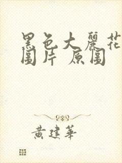 黑色大丽花真实图片 原图