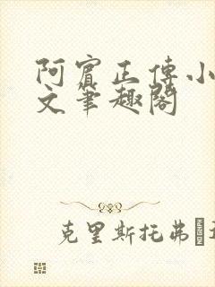 阿宾正传小说全文笔趣阁