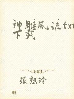 神雕风流txt下载