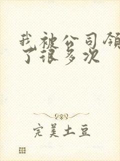 我被公司领导C了很多次封面