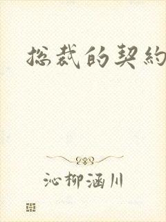 总裁的契约情人