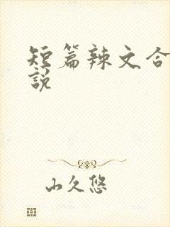 短篇辣文合集小说