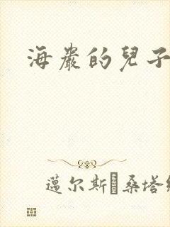 海岩的儿子封面
