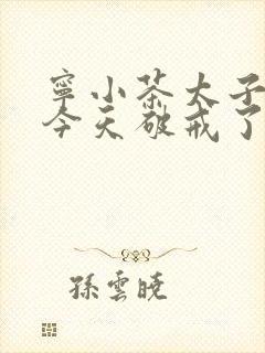 宁小茶太子殿下今天破戒了吗免费阅读