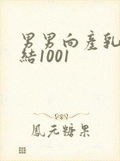 男男向产乳文小结1001封面