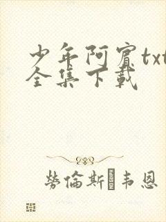 少年阿宾txt全集下载封面