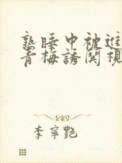 熟睡中被进了H青梅诱哄视频