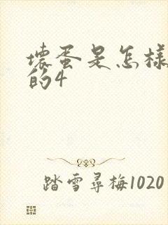 坏蛋是怎样炼成的4