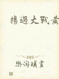 杨过大战黄蓉